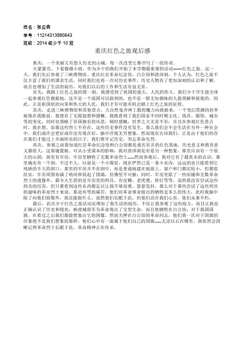 红色之旅观后感副本