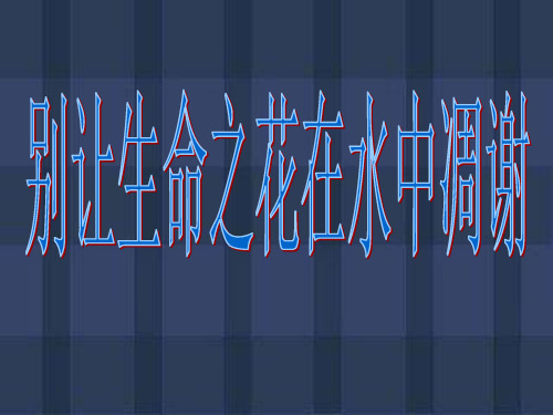 小学生防溺水教育ppt