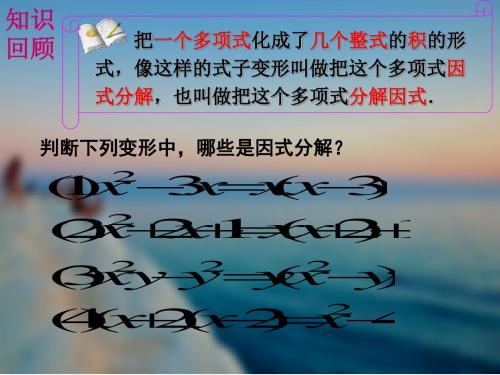因式分解 PPT课件 19 华东师大版