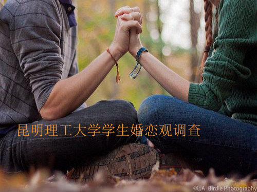 大学生爱情观PPT