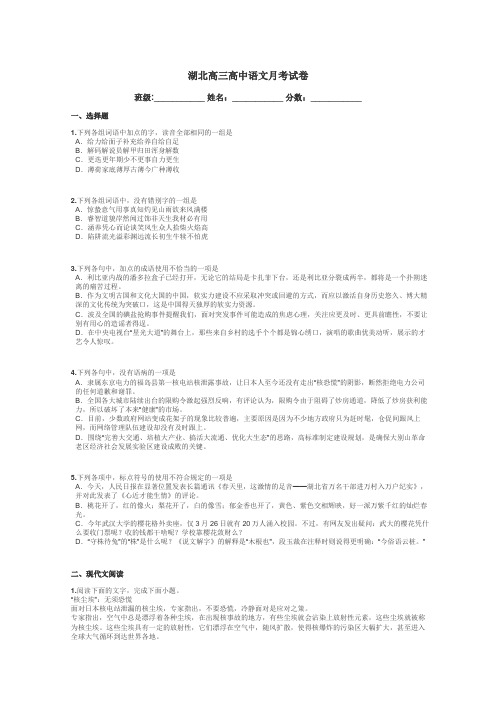湖北高三高中语文月考试卷带答案解析

