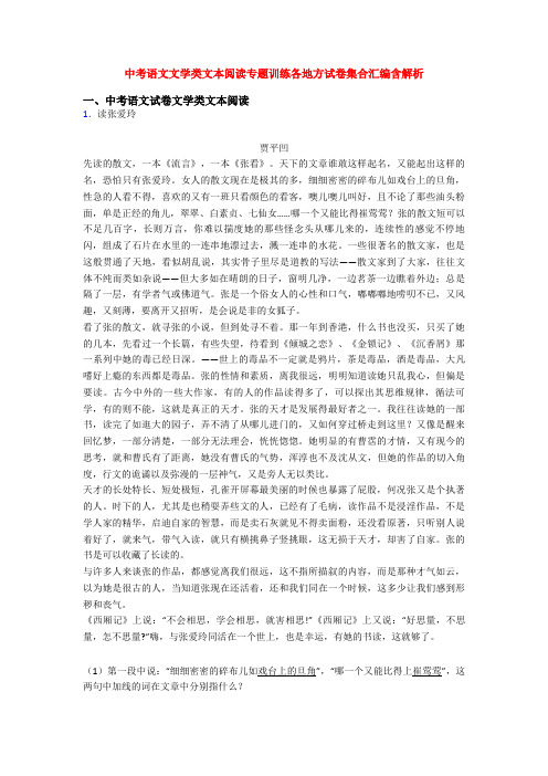 中考语文文学类文本阅读专题训练各地方试卷集合汇编含解析