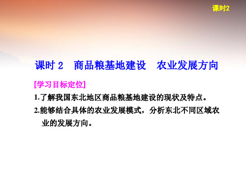 高中地理 第四章 区域经济发展 第1课 区域农业发展课时2课件 新人教版必修3
