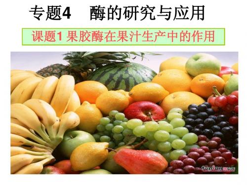 课题1果胶酶在果汁生产中的作用