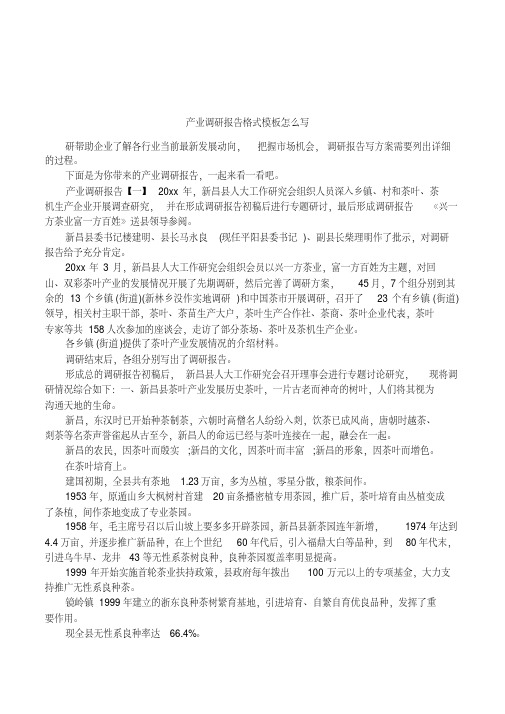 产业调研报告格式模板怎么写