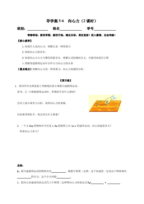 5.6  向心力—人教版高中物理必修二学案.