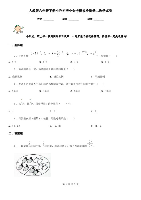 人教版六年级下册小升初毕业会考模拟检测卷二数学试卷