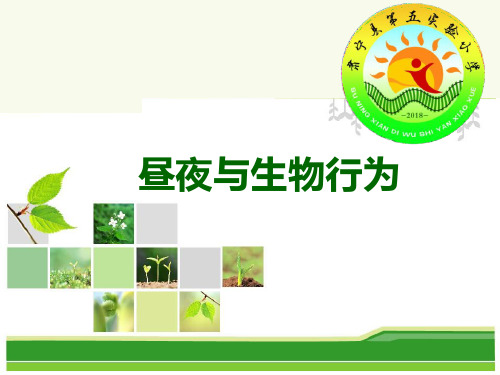 四年级上册科学课件15 昼夜与生物行为丨冀教版 (共23页)PPT