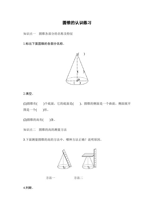 圆锥的认识练习