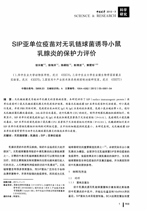 SIP亚单位疫苗对无乳链球菌诱导小鼠乳腺炎的保护力评价
