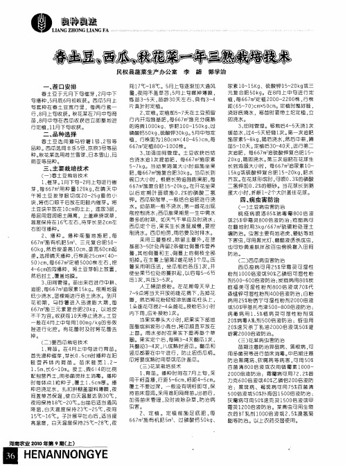 春土豆、西瓜、秋花菜一年三熟栽培技术