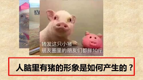 《唯物主义和唯心主义》教学PPT课件【高中政治】