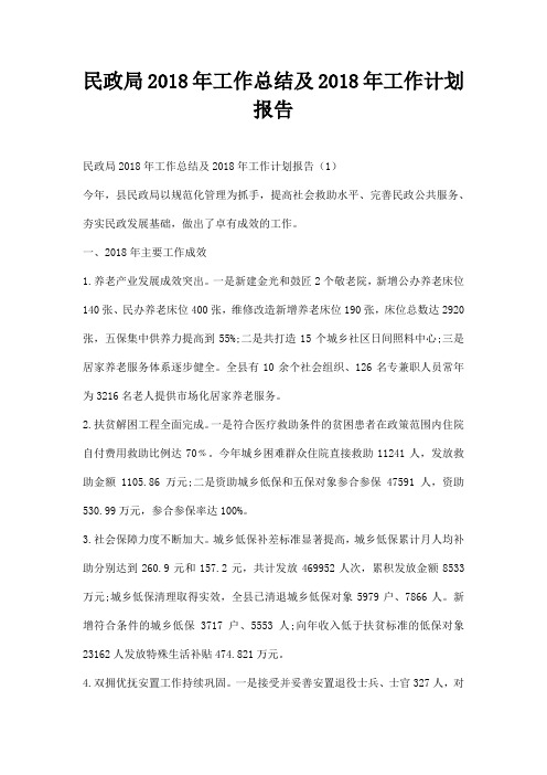 民政局工作总结及工作计划报告