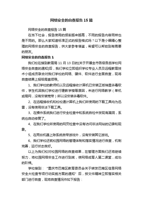 网络安全的自查报告15篇