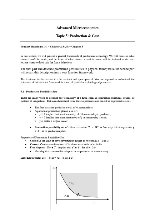 高级微观经济学 (黄有光) Topic5-Production
