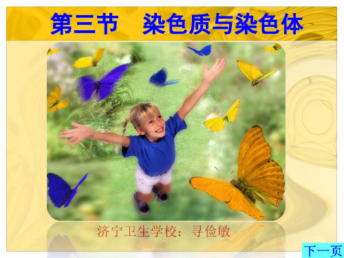 染色质