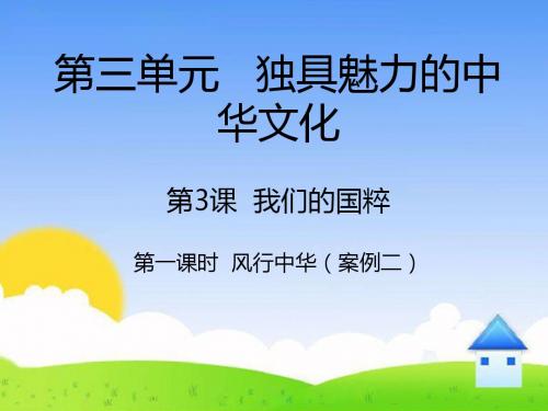 3.3《我们的国粹》精品课件第1课时