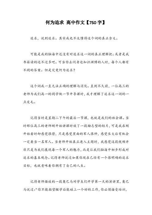 何为追求 高中作文【750字】