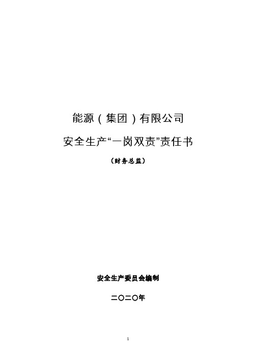 财务总监安全目标责任书