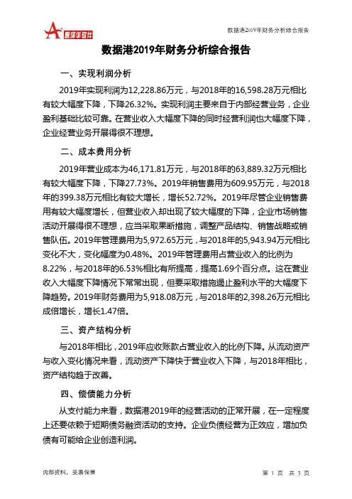 数据港2019年财务分析结论报告