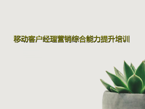 移动客户经理营销综合能力提升培训共97页文档