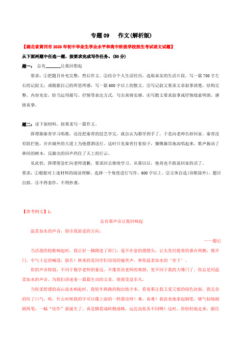 专题09  作文(教师版含解析)-2020年中考语文真题分专题训练(湖北专用)