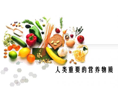 六大营养素
