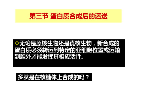 蛋白质合成后的运送
