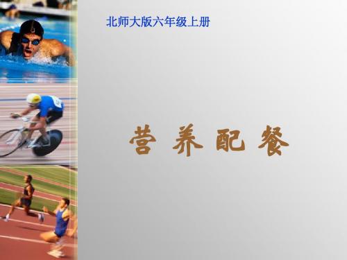 北师大版数学六年级上册营养配餐课件