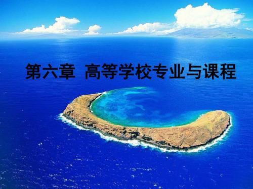 6第六章 高等学校专业与课程