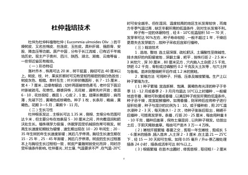 杜仲、厚朴、黄柏栽培技术
