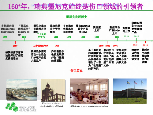 墨尼克公司产品介绍课件
