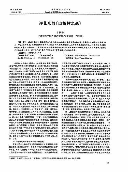 评艾米的《山楂树之恋》