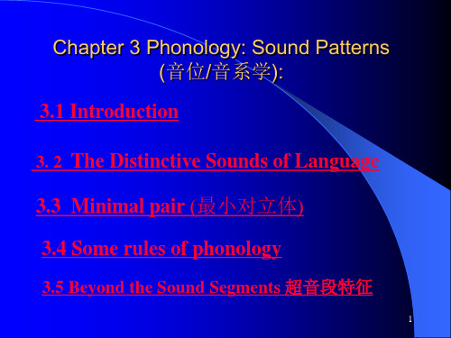 语言学简明教程Chapter 3