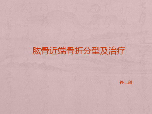 肱骨近端骨折分型及治疗ppt课件
