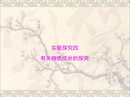 中考化学复习第二部分专题提升专题五实验探究四有关物质成分的探究课件