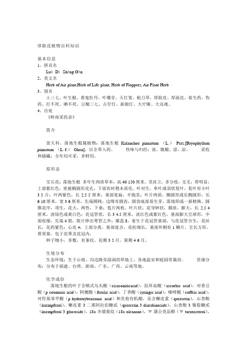 mxt0-厚脸皮植物百科知识
