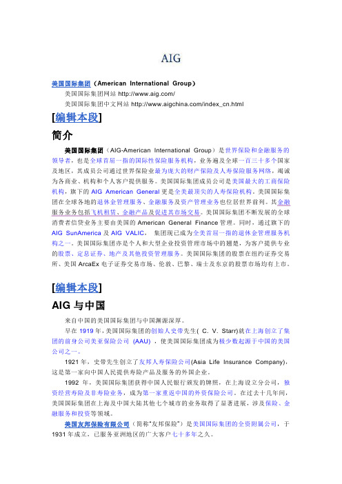 AIG简介