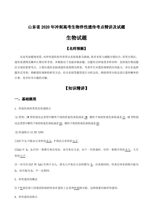 山东省2020年冲刺高考生物伴性遗传考点精讲及试题(12页)