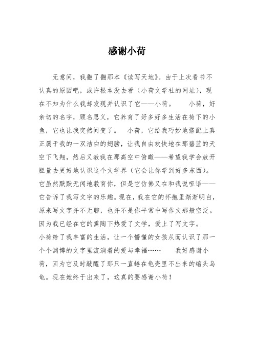 初中记叙文作文：感谢小荷