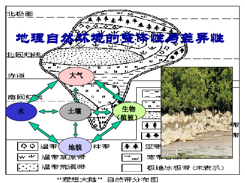 人教版地理必修一第五章自然地理环境的整体性和差异性(共48张PPT)[优秀课件资料]