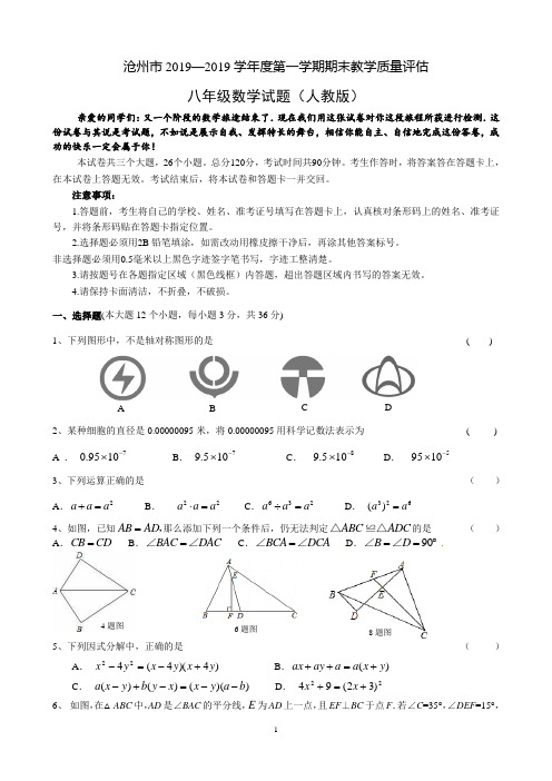 河北沧州市2018-2019学年八年级上期末数学试题及答案