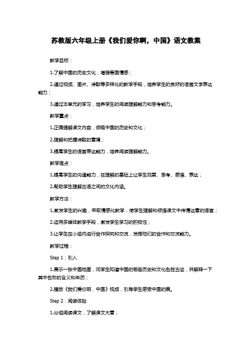 苏教版六年级上册《我们爱你啊,中国》语文教案