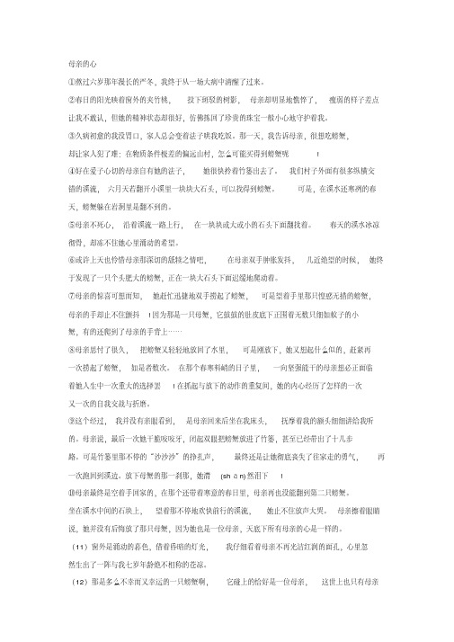 《母亲的心》阅读练习及答案