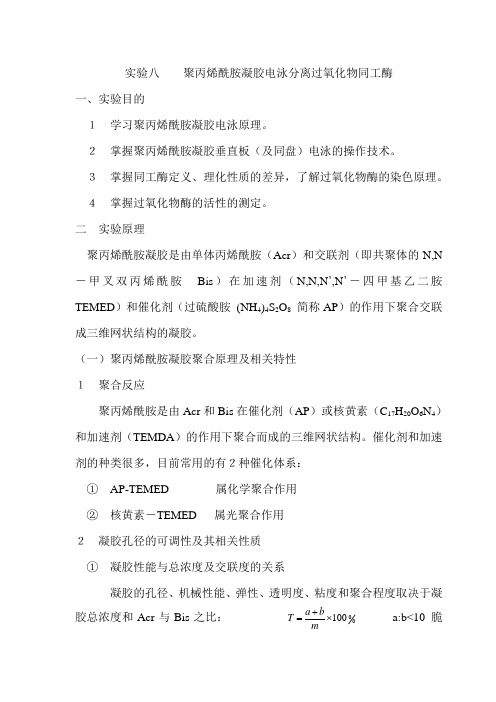 烯酰胺凝胶电泳分离过氧化物同工酶
