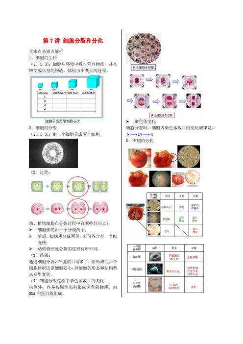 江苏省七年级生物上册第7讲细胞分裂和分化讲义苏教版