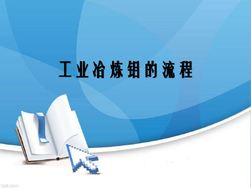 工业冶炼铝的流程 PPT
