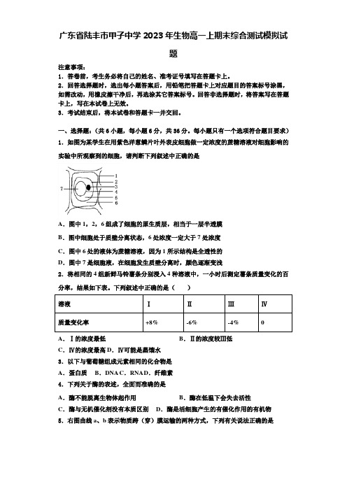 广东省陆丰市甲子中学2023年生物高一上期末综合测试模拟试题含解析