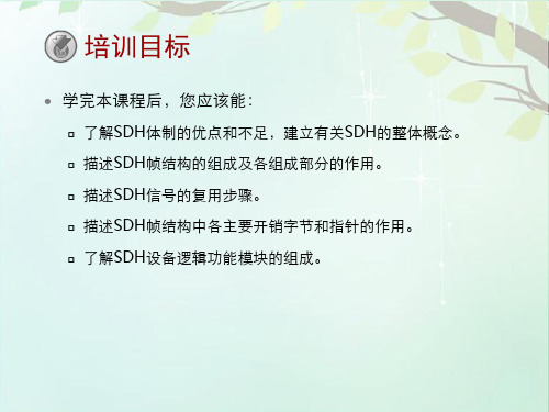 SDH基本原理  ppt课件