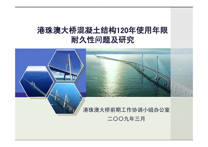 港珠澳大桥 年设计使用年限的耐久性问题及研究 苏权科